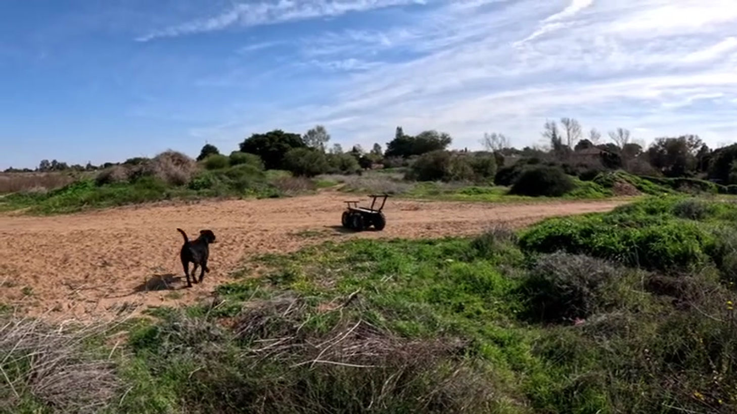 Field Tests